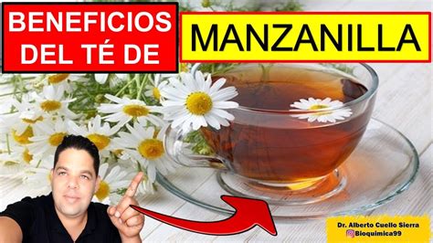 Beneficios del Té de Manzanilla YouTube