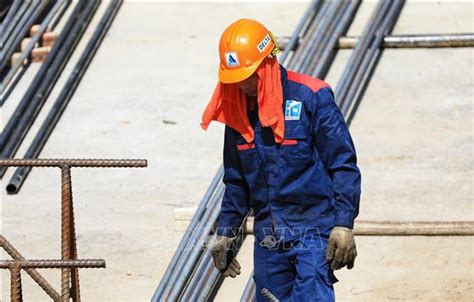 N Ng N Ng Gay G T B Y T C Nh B O Nh Ng V N S C Kho Nguy Hi M