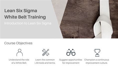 Lean Six Sigma White Belt Certification The Green Dot Group