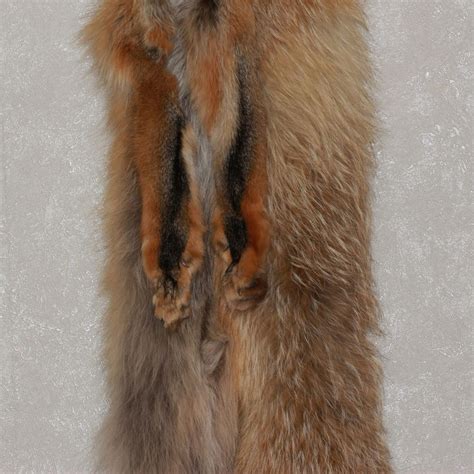 Siberian Red Fox Tanned Fur Pelt Skin Hide For Sale Real Decor