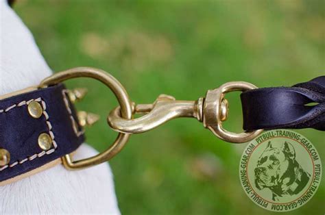 Buy Designer Leather Dog Collar for Pitbull