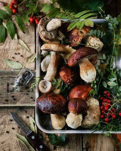 Пин от пользователя Firefly In A Jar на доске homestead | Грибы, Идеи ...