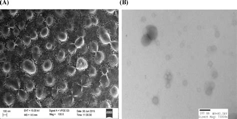 Brain Targeting of 1,9-Pyrazoloanthrone an c-Jun-N-terminal Kinase ...