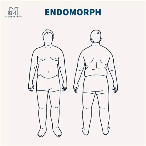 Male Endomorph Body Type: Harnessing Your Strong Build - The Modest Man