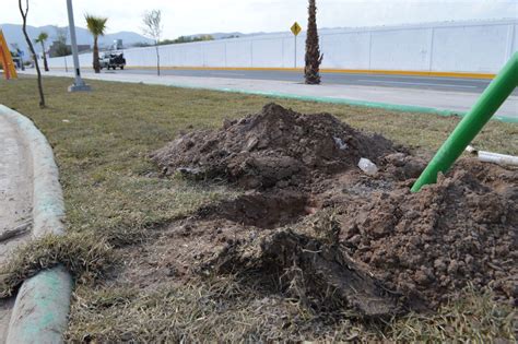 Abren Linea Verde Con Diversas Carencias El Siglo De Torre N