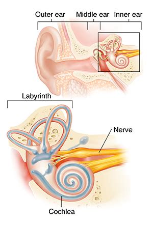 Understanding Labyrinthitis Causes Symptoms And Treatment Ask The