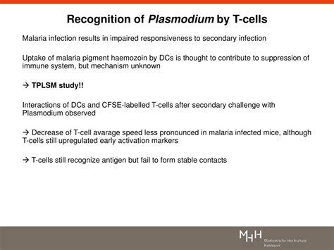 Ppt Dynamic Imaging Of Host Pathogen Interactions In Vivo Powerpoint