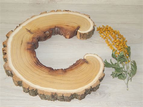 Natural Large Wood Slices For Crafts Woodworking And Home Decor