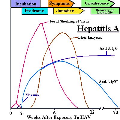 Hepatitis A And E