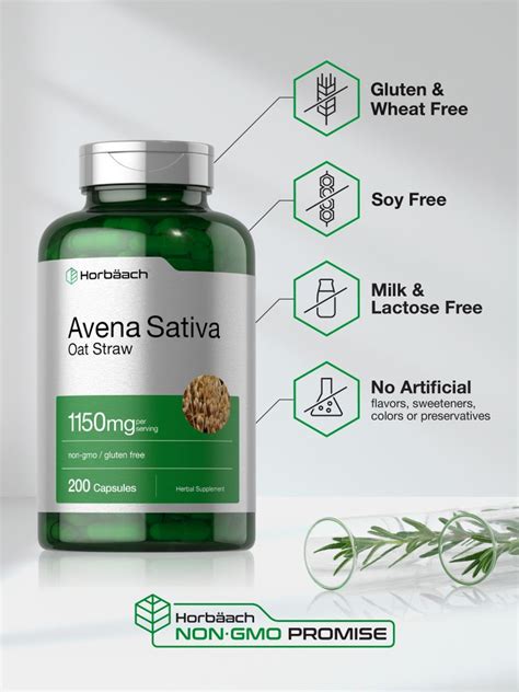 Avena Sativa Extract 1150mg | 200 Capsules – Horbäach