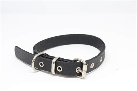 Collar classic 2 / 50cm / Accessories for dogs - Veterinary pharmacy
