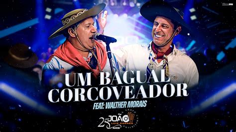 Um Bagual Corcoveador João Luiz Corrêa Grupo Campeirismo DVD 25