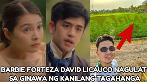 Barbie Forteza David Licauco Namangha Sa Pinakita Ng Kanilang Tagahanga