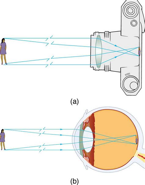 Draw A Ray Diagram Showing Image Formation In Used In A Camera And