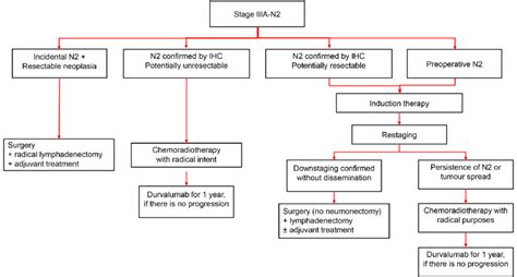 Algorithm For The Clinical Management Of Patients With Stage Iiia N2 Download Scientific