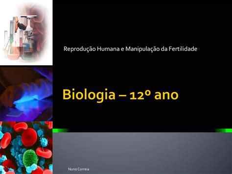 Biologia 12º Ano Fecundação Desenvolvimento Embrionário E Gestação