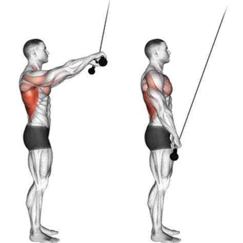 Straight Arm Pulldown by Derryck Sargent - Exercise How-to - Skimble