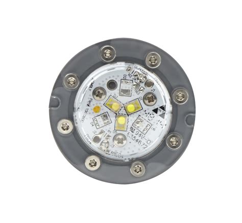 Jandy Led Pool Light Replacement | Shelly Lighting