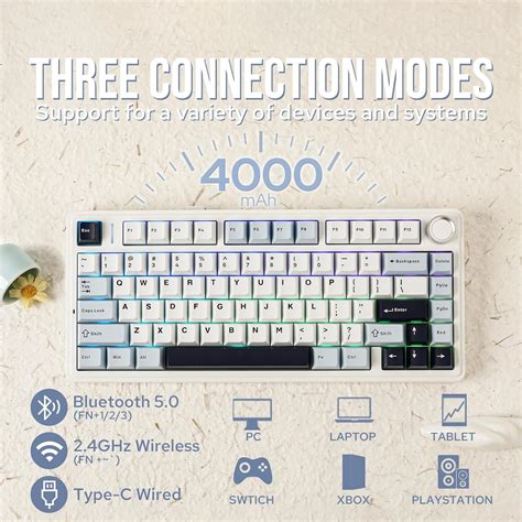 EPOMAKER X AULA F Gasket Mechanical Keyboard Wireless Hot Swappable Gaming Keyboard With