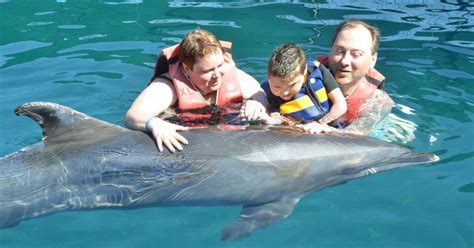 Dolphin Therapy Archives - Dolphin Therapy