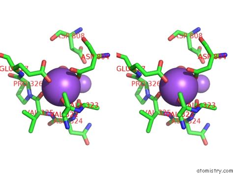 Sodium In Pdb Wgv Crystal Structure Of A Na Bound Na K Atpase