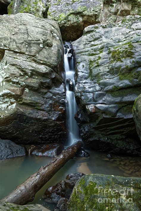 Paine Creek 2 Photograph By Phil Perkins Fine Art America