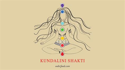 Kundalini Shakti Chakras