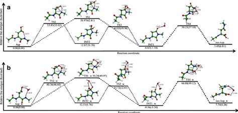 The Relative Free Energy Profile With Optimized Structures For