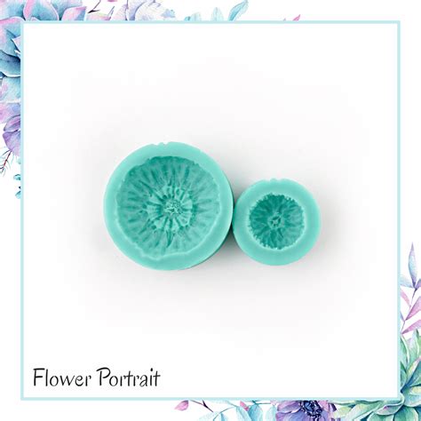 Ромашка чашелистики - купить по выгодной цене | FlowerPortrait