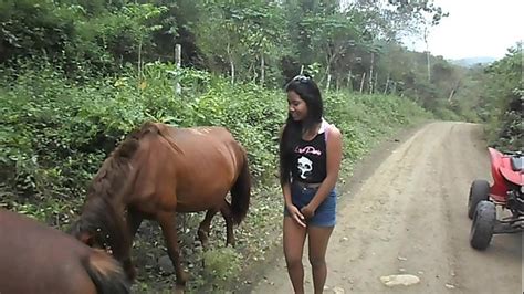 Ces Femmes Baiser Par Des Chevaux Horse Zoo Porn Vidéos Porno et Sex