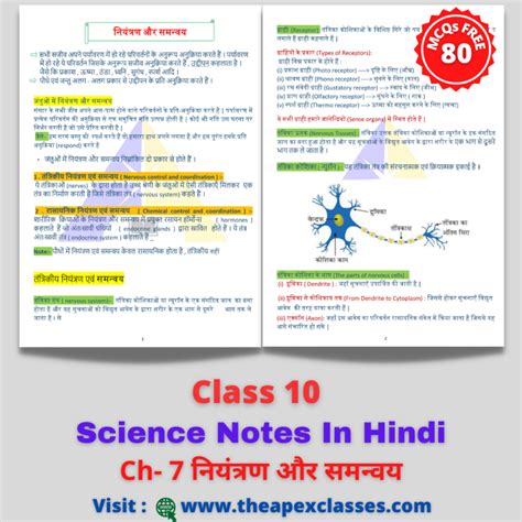 Class 10 Science Chapter 2 Notes In Hindi अम्ल क्षार और लवण Apex Classes