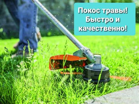 Покос травы на участке, спил деревьев и кустарника во Владивостоке