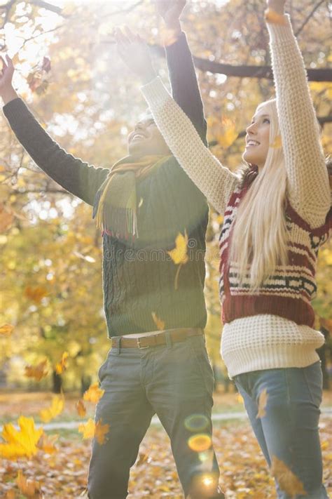 Couple With Arms Raised Enjoying Falling Autumn Leaves In Park Stock