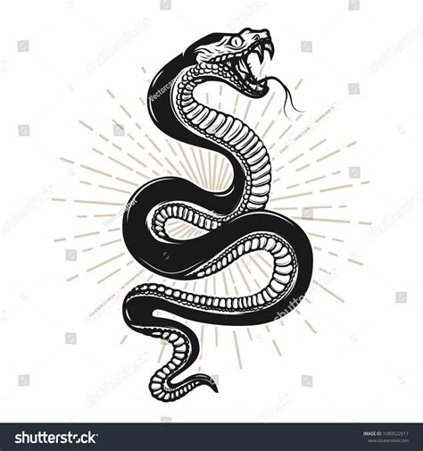 Snake Illustration On White Background Design Stock Vector Royalty