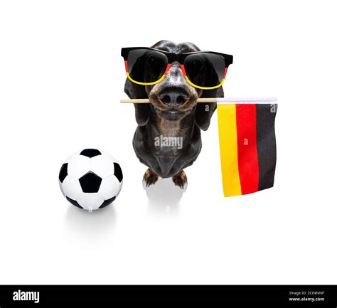 World Cup Trophy And Soccer Ball Ausgeschnittene Stockfotos Und Bilder