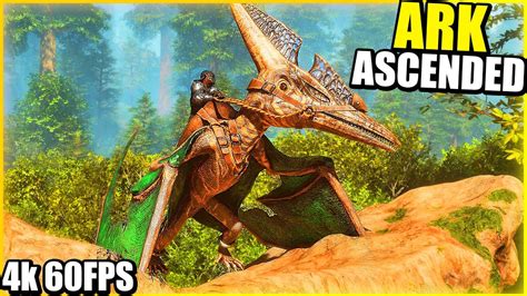 Tameando Mis Primeros Dinosaurios Y Emboscada De Alphas Ark Survival