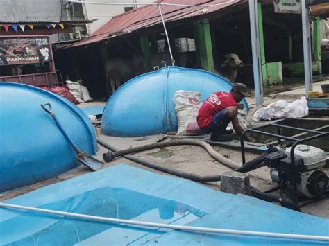 Pemanfaatan Limbah Hewan Ternak Jadi Energi Biogas