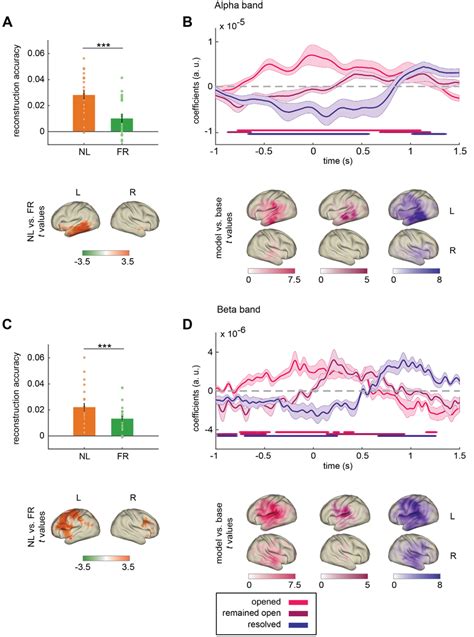 Results Of The Temporal Response Function TRF Analysis Separately For