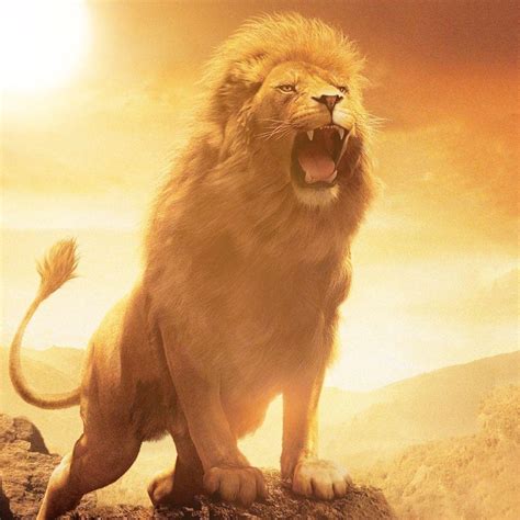 Fierce Lion Wallpapers - Top Free Fierce Lion Backgrounds - WallpaperAccess