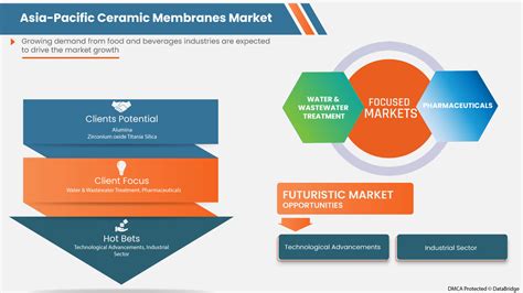 Asia Pacific Ceramic Membranes Market Size And Growth Analysis 2030