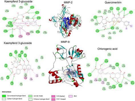 Molecular Docking Of Mmp And Mmp Binding By Compounds With The