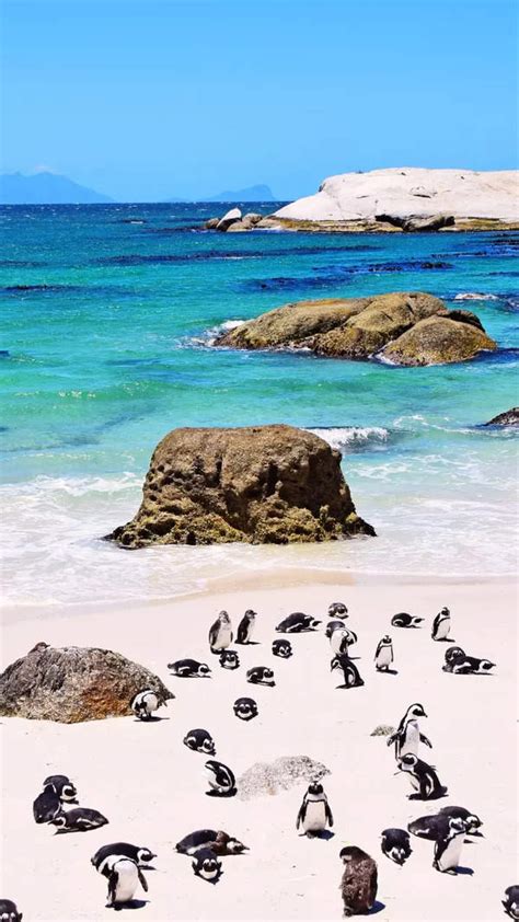 Why Both Men And Women Should Pee Before And After Sex