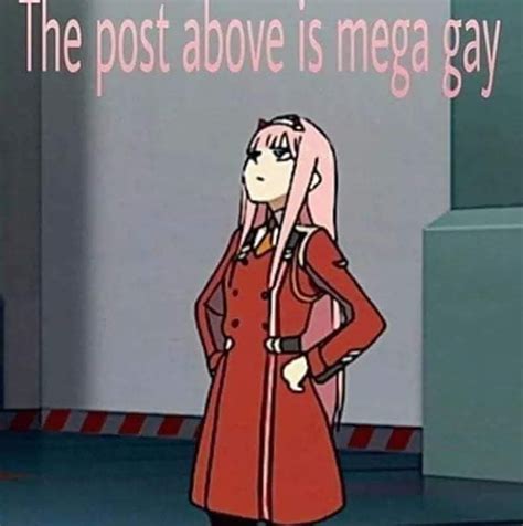 The Big Gay R Animemes