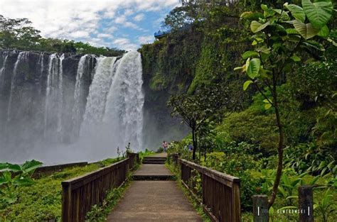 Magn Fica Cascada El Salto De Eyipantla Veracruz Rincones De M Xico