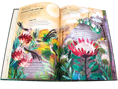 The Big Book Of Birds Blue Bugs Blooms Beasts