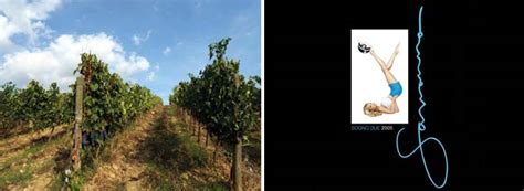 From Sex To Sangiovese Adult Movie Star Savanna Samson Wine Searcher News Opinion