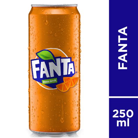 Coca Cola Official Store Jual Fanta Orange Can 250ml 1 Karton