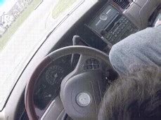 Wife Shows Tramp Stamp During Road Head Porn Pornhub