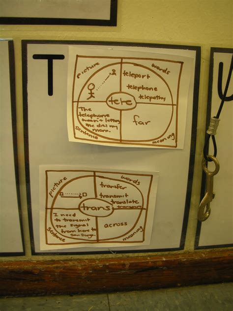 Root Word Word Wall | Teaching in Room 6