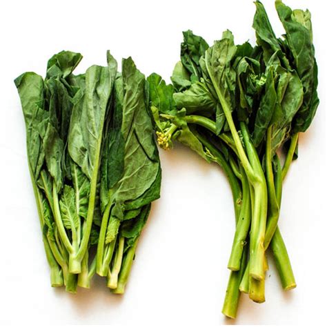 Chinese Broccoli Nutritional Value| List of Vegetables - Veggies Info | Veggies Info